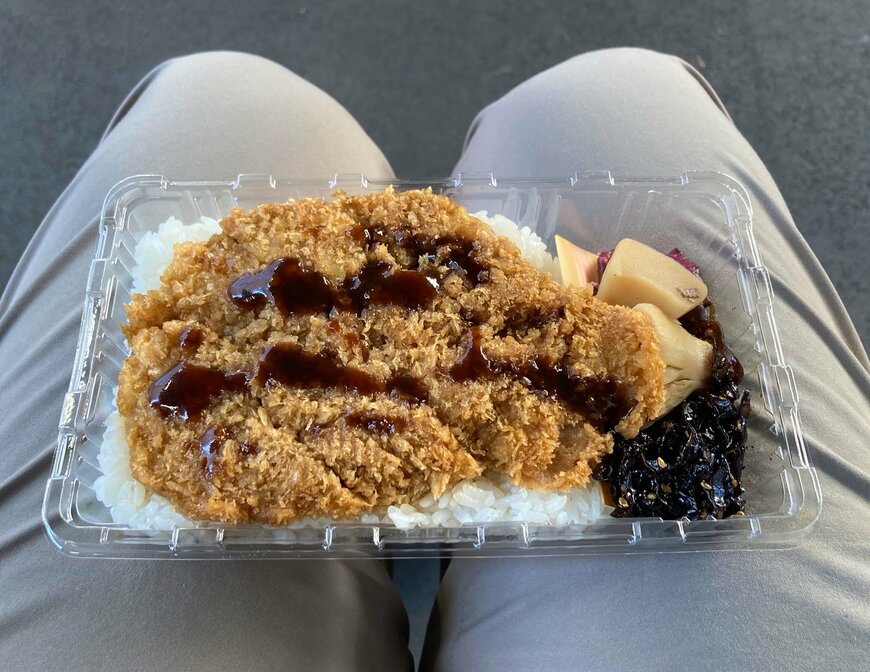 大きなトンカツが入った駅弁