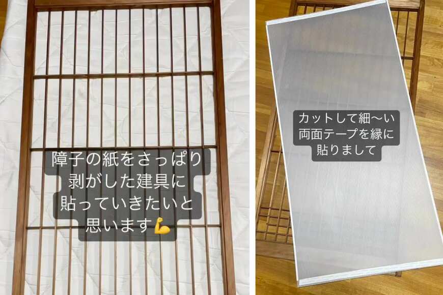 投稿の画像