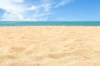 海洋系の大学に通う大学生も困惑　海で見つけた「あまりにも透明な生き物」に思わず二度見