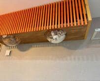 「マジで設置してよかった」スケスケボウル　猫の様子を覗くと…悶絶の光景に反響