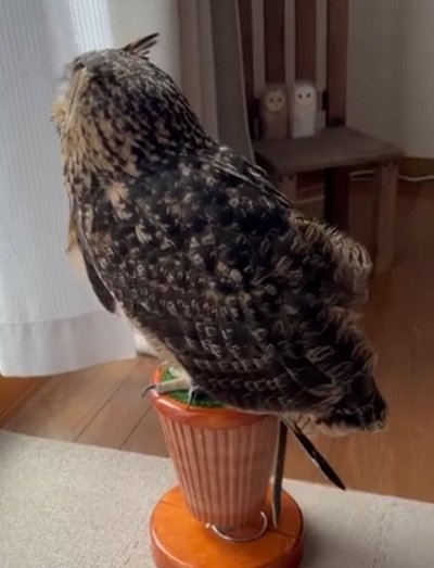 投稿の画像
