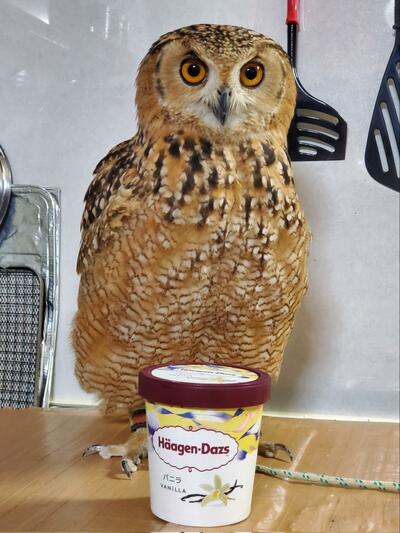 投稿動画のワンシーン