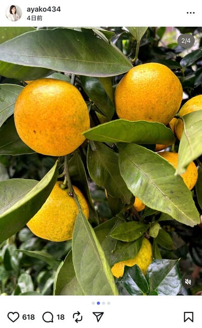 小林綾子のInstagram投稿