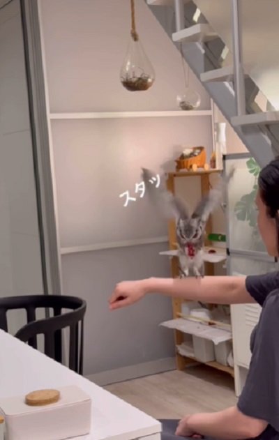 投稿動画のワンシーン