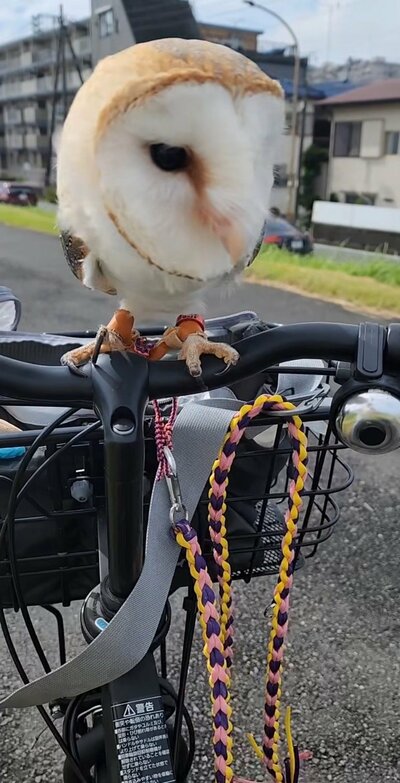 投稿の画像