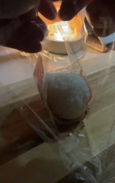 投稿動画のワンシーン