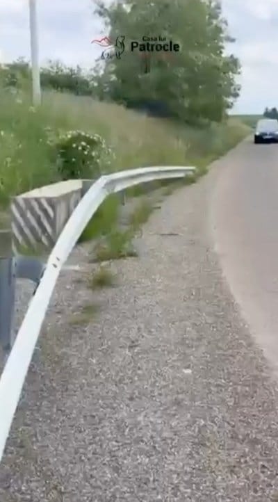 投稿の画像