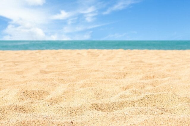 海洋系の大学に通う大学生も困惑　海で見つけた「あまりにも透明な生き物」に思わず二度見