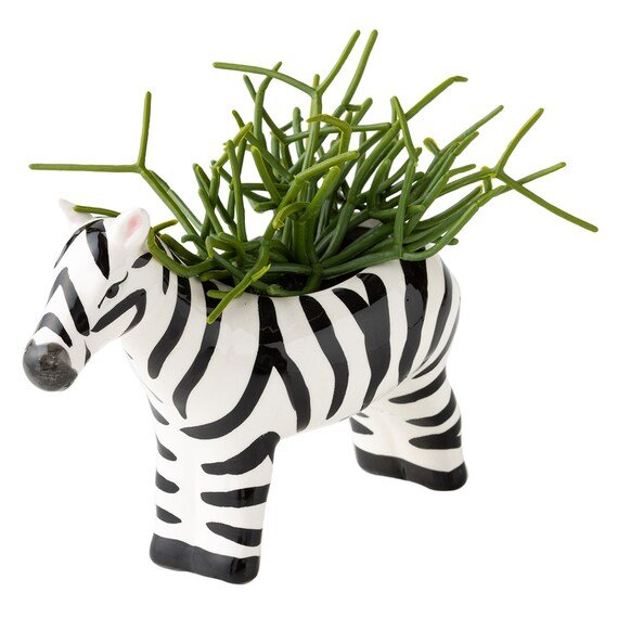 出所：ニトリ公式通販ニトリネット フェイクグリーン(ミルクブッシュ セラミックポットゼブラ)