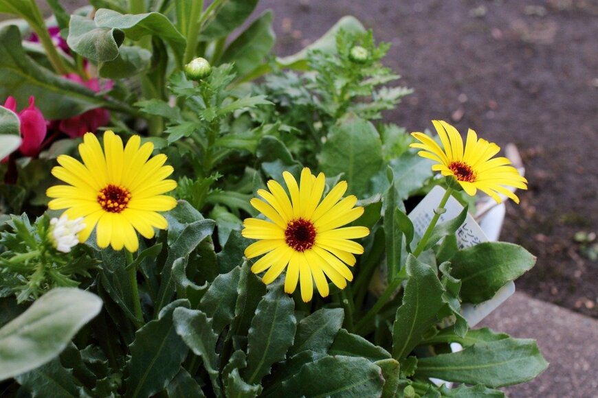 stoickt/istockphoto.com