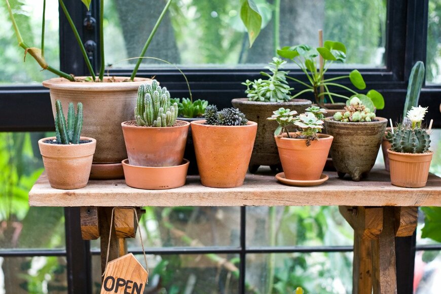 yotananchankheaw/istockphoto.com