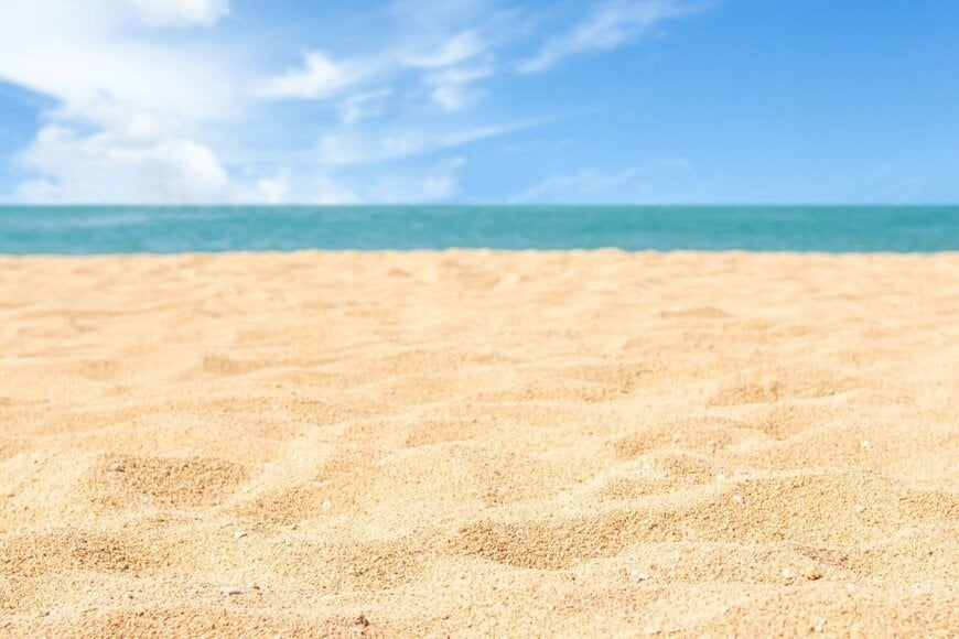 海洋系の大学に通う大学生も困惑　海で見つけた「あまりにも透明な生き物」に思わず二度見