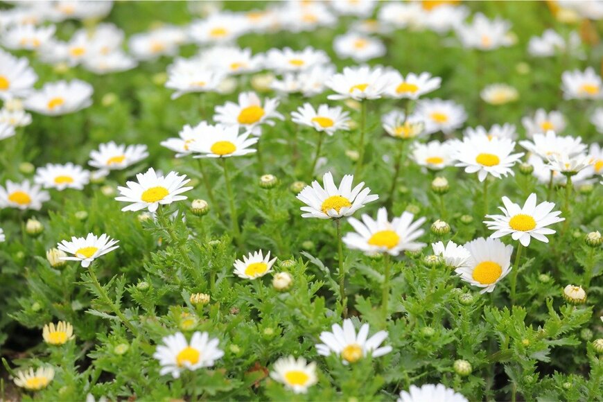 TkKurikawa/istockphoto.com