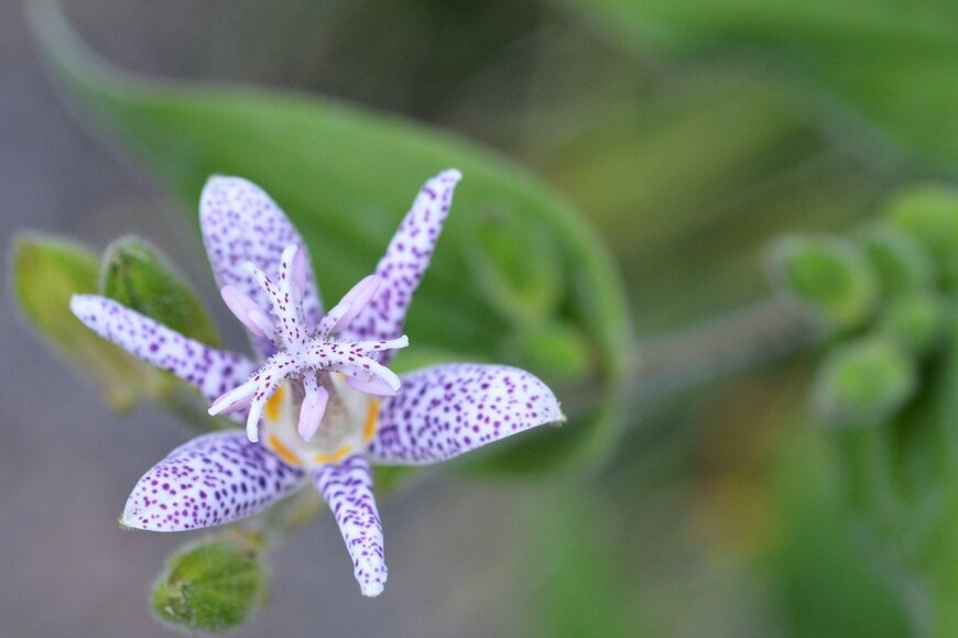 Nahhan/istockphoto.com