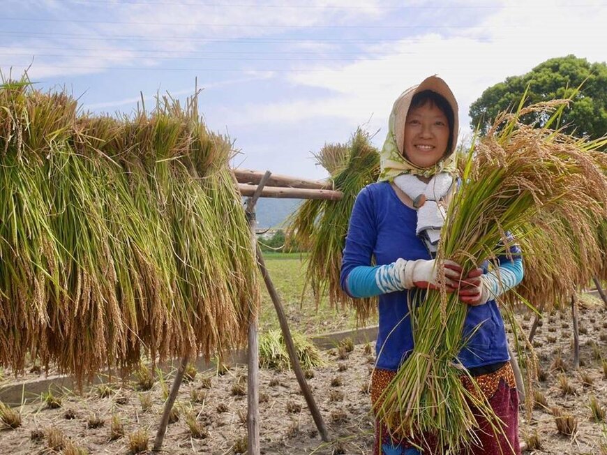 稲穂を手に微笑む妻　　資料提供：ブルーベリーヒル淡路