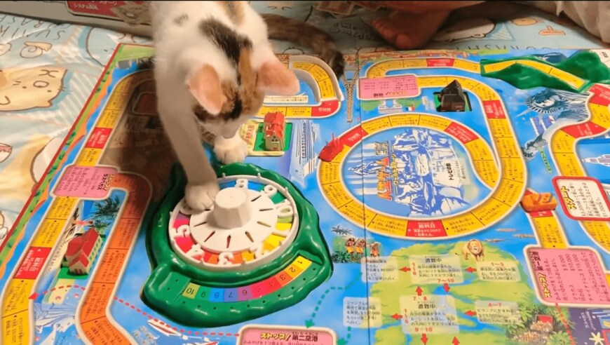 出所：@sabachikubi