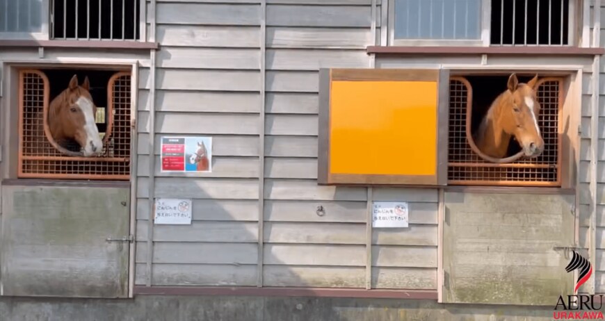 出所：うらかわ優駿ビレッジAERU