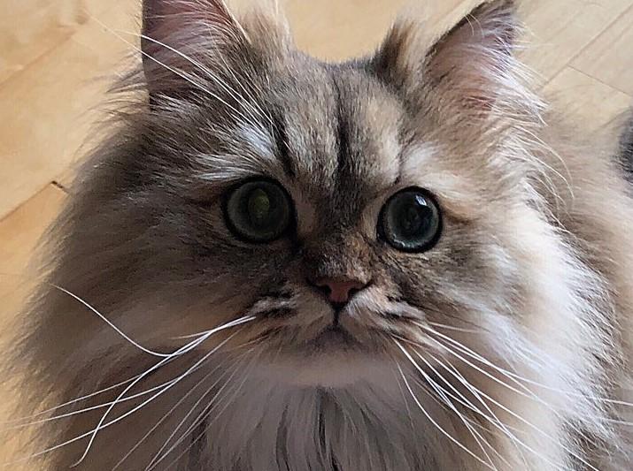 出所：@UphQepCv8J