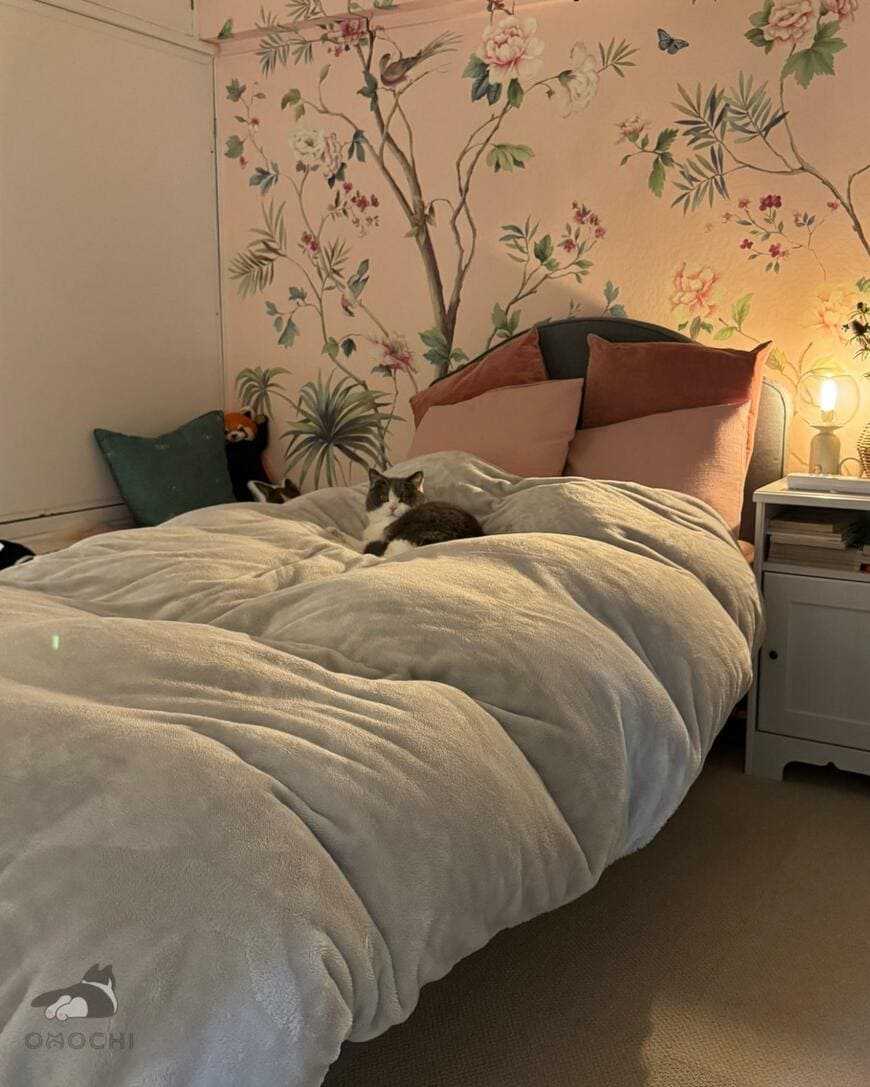ベッドのど真ん中で寝る猫　飼主がくしゃみをすると…まさかの表情に笑ってしまう