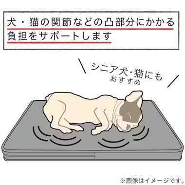 画像出所：ニトリ公式通販ニトリネット
