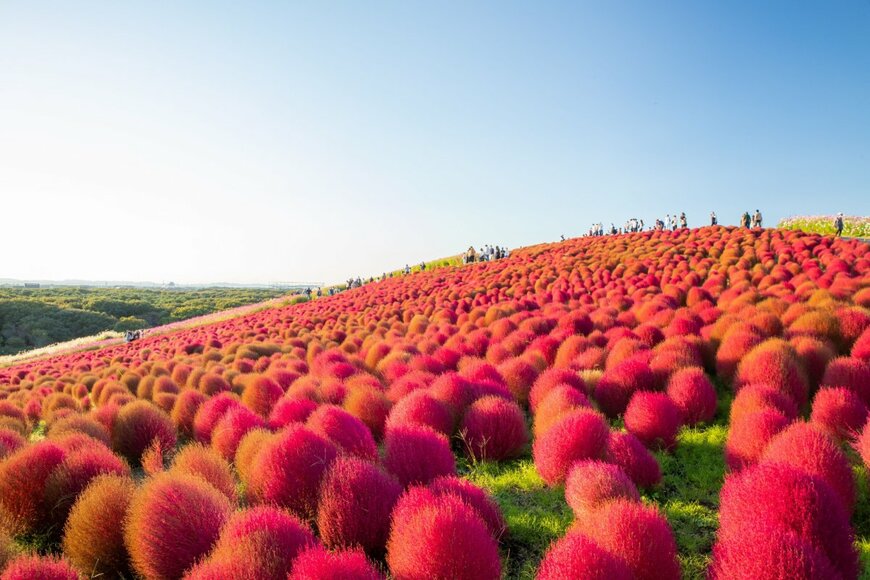 Spyan/shutterstock.com