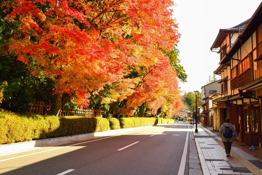 【2023年版】和歌山のおすすめ紅葉スポット5選！東京から和歌山までの交通手段と交通費も解説