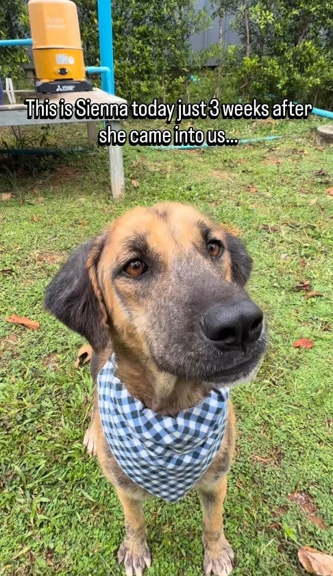 出所：@niall.harbison