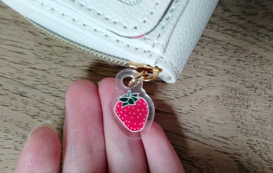 筆者撮影（宝島社、miffy カードが見やすい じゃばら式ミニ財布 BOOK）