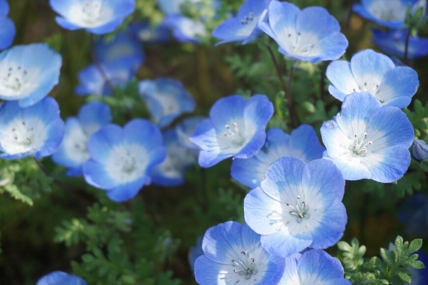 mamesuke/shutterstock.com