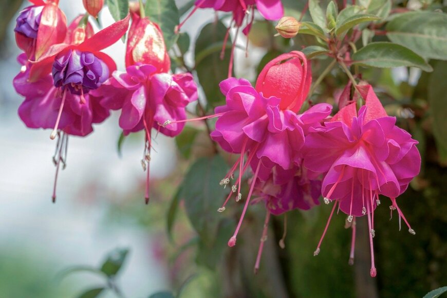 ntdanai/istockphoto.com