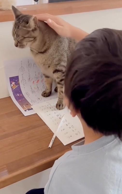 出所：@omame_mamegram