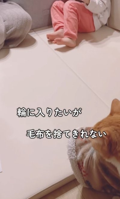 出所：@miko_nekoneko