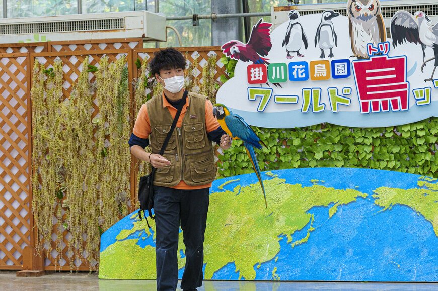 画像出所：ワールドトリップショー（イニシャルPR事務局）