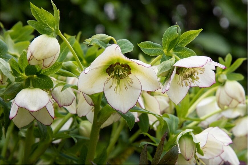 Steve Hamilton/istockphoto.com