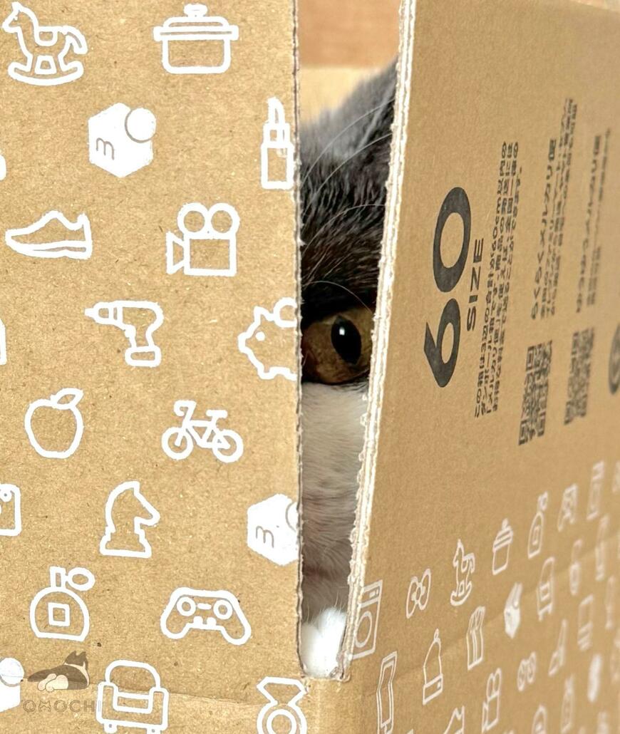 出所：@omochiomoching