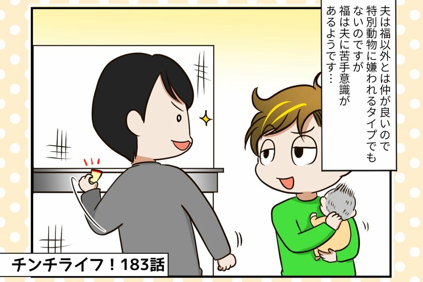 【チンチライフ第183話】ようやく距離が縮まった？福くんと夫さんの名（迷？）コンビまだまだ健在！