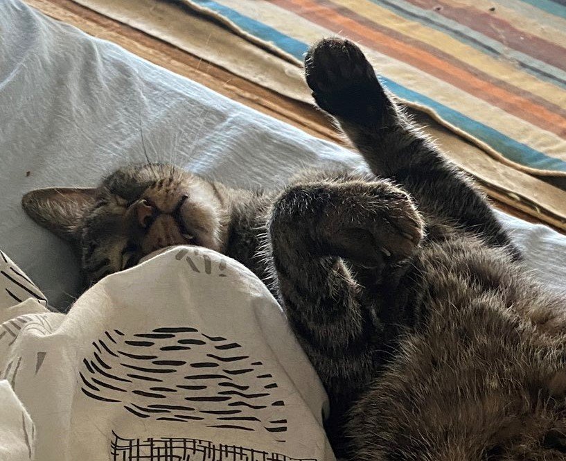 出所：@00shitemita