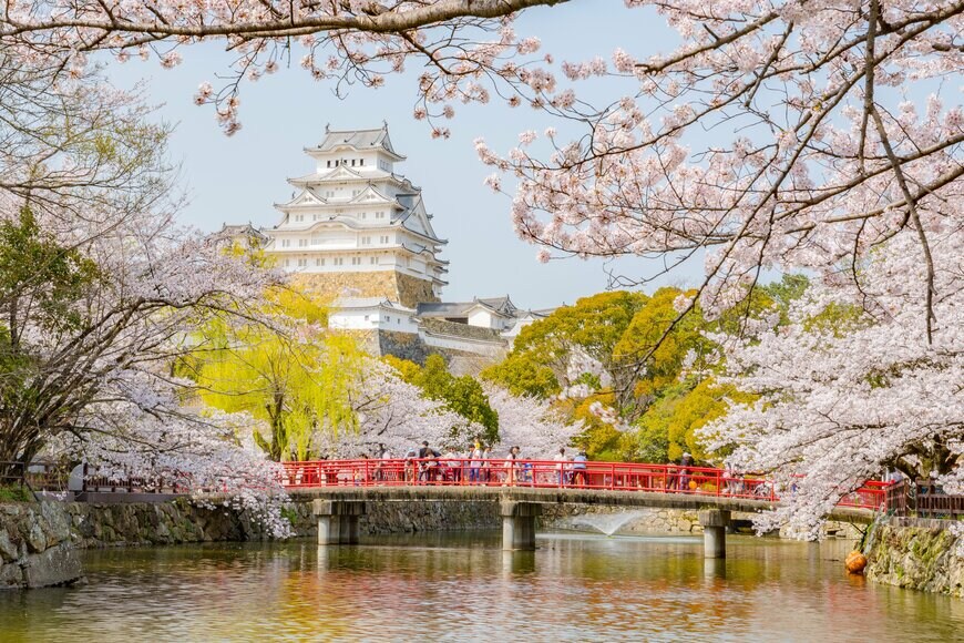 姫路城の周りを彩る満開の桜