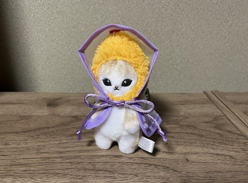 セリア、ぬい用レインポンチョ S ヲタコレ ぬい活画像