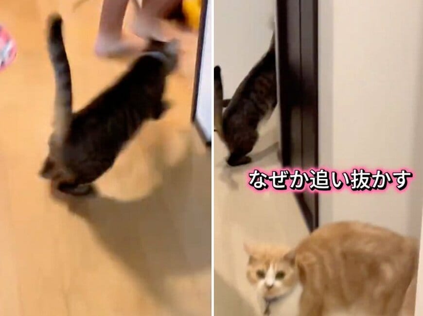 投稿の画像