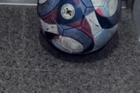 【築30年中古マンションDIY】暗くて掃除が大変な「玄関の床」　置くだけDIYで「大理石調のホテルライク空間」に雰囲気ガラリ