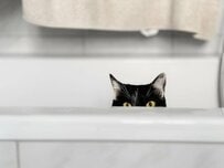 飼い主が入る浴室に乱入してきた黒猫　「お前正気か？」と言っているような表情が話題に