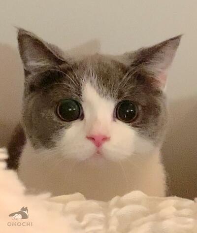 0歳の頃の「まん丸おめめ」の表情