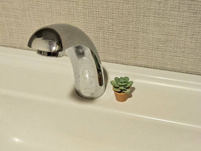 最後にトイレ空間へ仲間入りさせてみました！