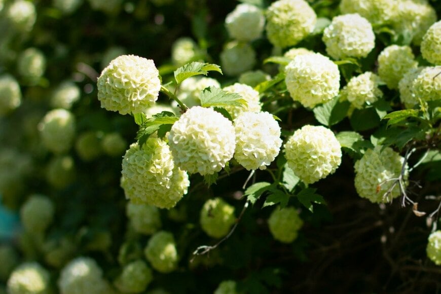 Aleksandra Chopik/istockphoto.com