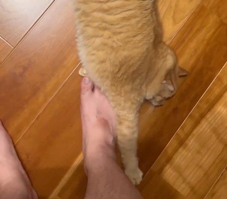 出所：@kagisuzu0531