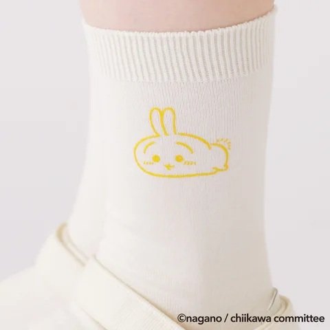 出所：靴下屋公式　なせんベタソックス