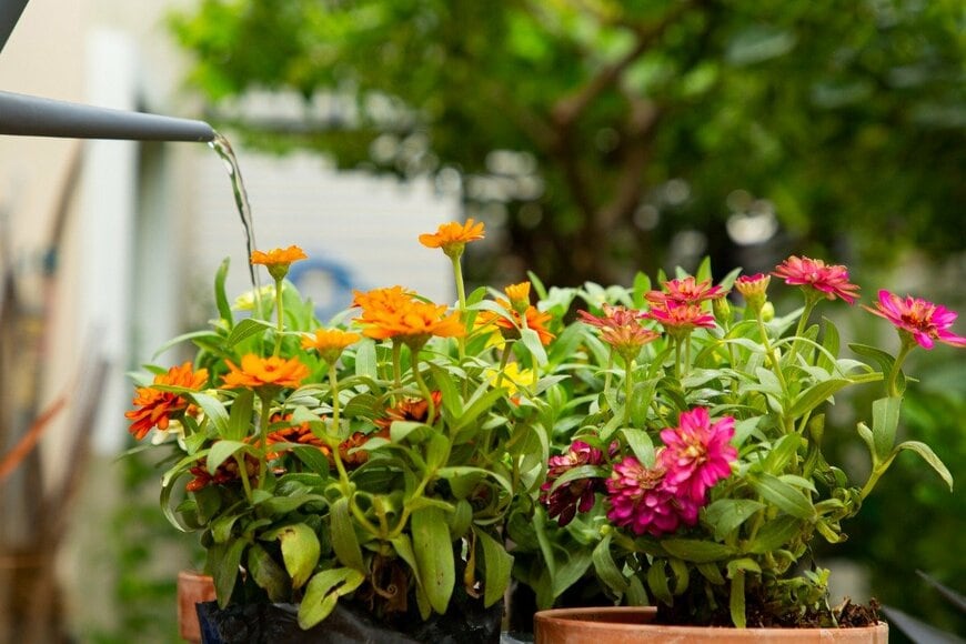 ShutterOK/istockphoto.com