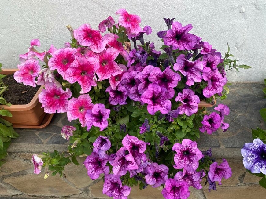 Keisy Arteaga/istockphoto.com