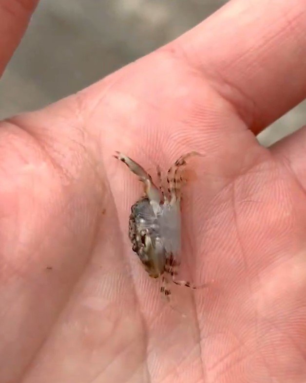 出所：@K_theHermit